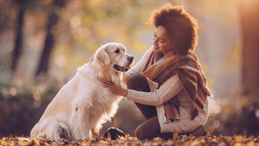 Frauen mit Golden Retriever im Park