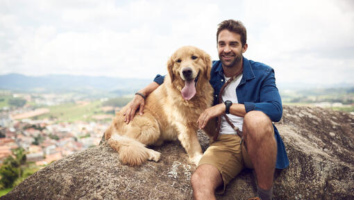 Mann mit Golden Retriever auf dem Felsen