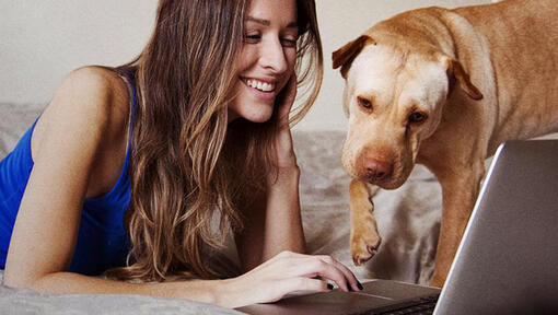 girl looking at laptop with her dog