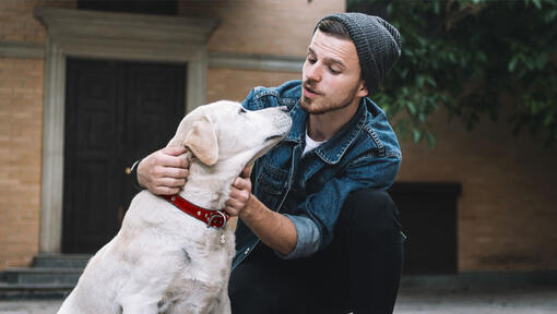 Hund, der den jungen Besitzer ansieht