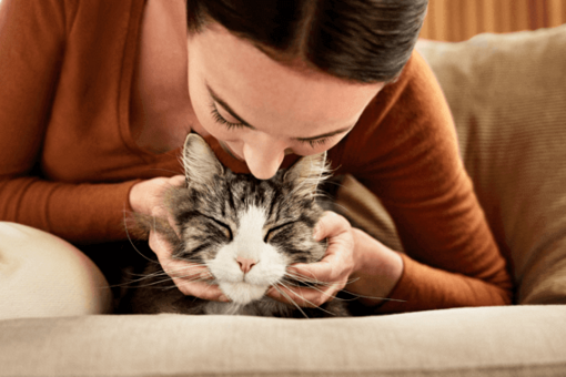 Frau kuschelt mit Katze