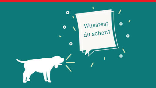 Illustration Hund mit Sprechblase Wusstest du schon 