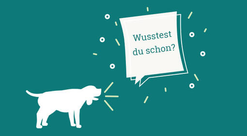 wusstest du schon hund