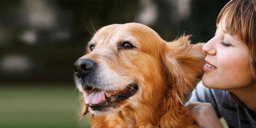 Hunde verstehen Menschen: Frauchen flüstert dem Hund ins Ohr
