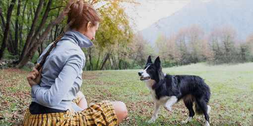 Frauchen versteckt das Hundespielzeug hinter ihrem Rücken