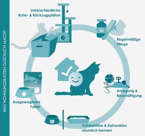 Infografik Wohnungskatzen: Beschäftigung für Wohnungskatzen
