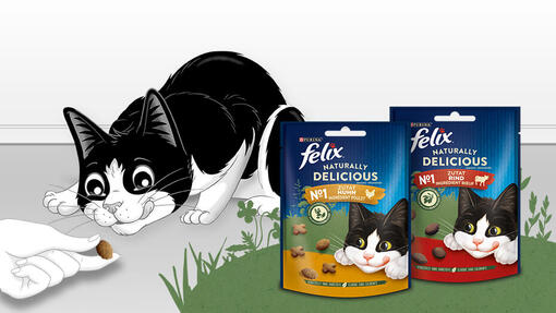 FELIX NATURALLY DELICIOUS Mobile Image