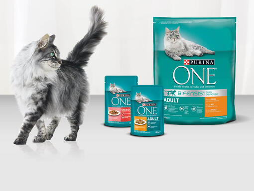 PURINA ONE BIFENSIS Mobile Image