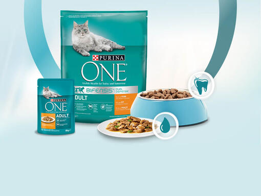 PURINA ONE Mischfütterung Mobile Image
