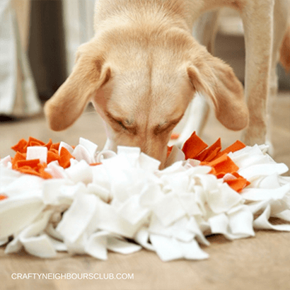 Hund spielt mit Schnuffelteppich