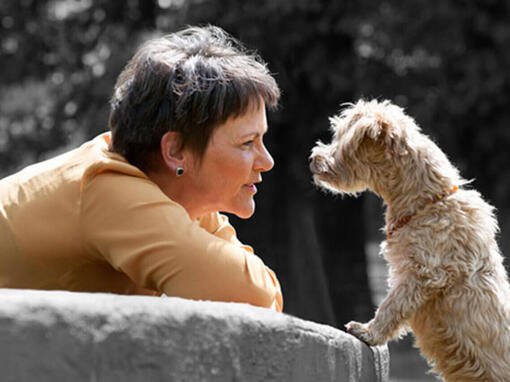 Frau mit Hund auf Schoß