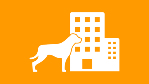 Hund im Büro Infografik