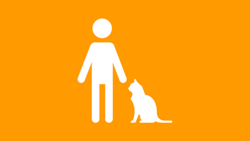 Person und Katze Infografik