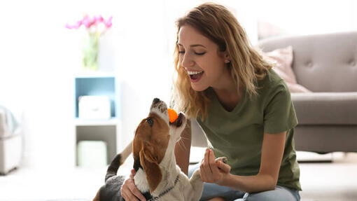 Frau und Hund empfinden Freude beim gemeinsamen Spielen