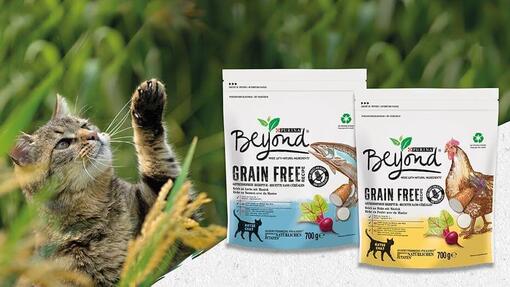 PURINA BEYOND Katze Grainfree Produkte