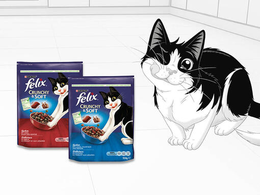 FELIX Teaser Trocken Mobile