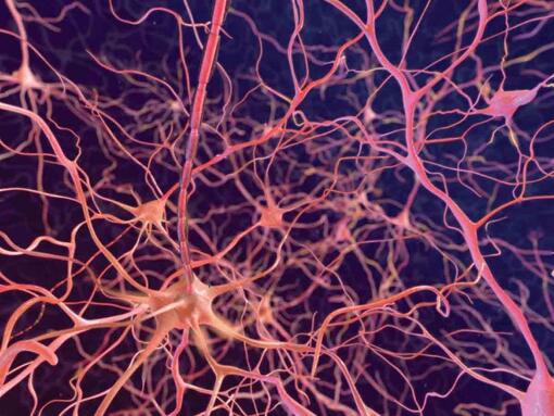 Neuronen auf dunklem Hintergrund