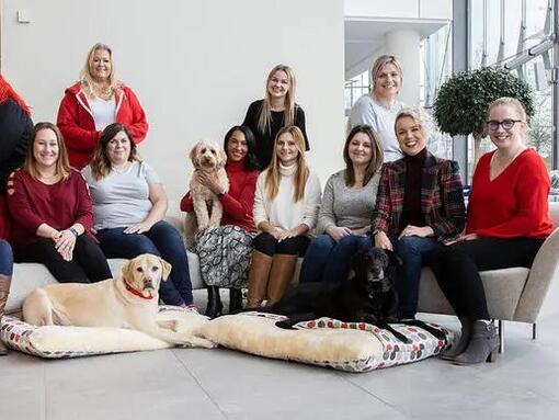 Das Consumer Engagement Services-Team von Purina
