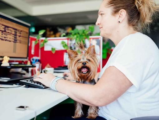 Frau mit Hund im Büro