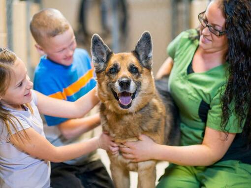 Hund wird von der Besitzerin und ihren Kindern umarmt