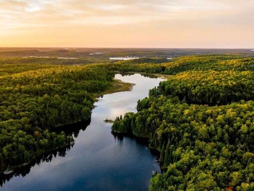 Luftaufnahme der Wald- und Flusslandschaft