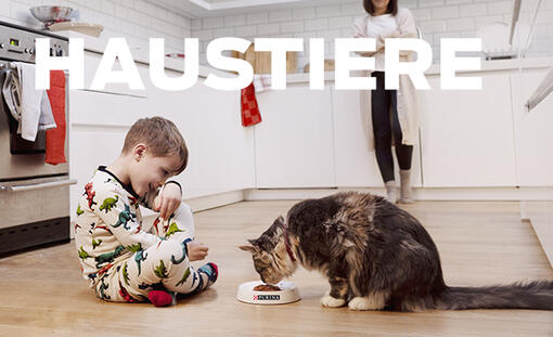 Kind füttert Tabby-Katze in der Küche