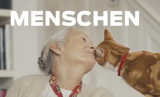 ältere Frau auf einer Couch mit einer Katze
