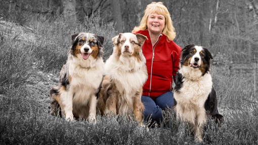 Frau mit 3 Hunden, die auf dem Gras sitzen