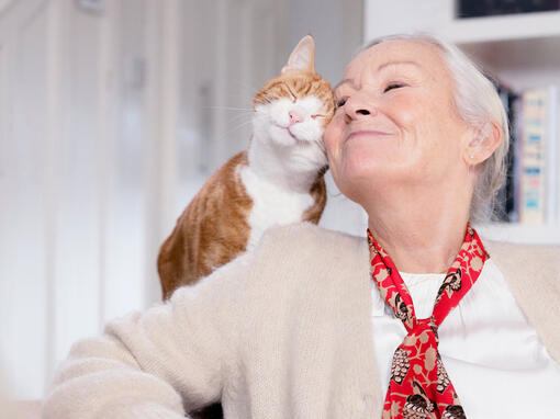 Dame mit Katze