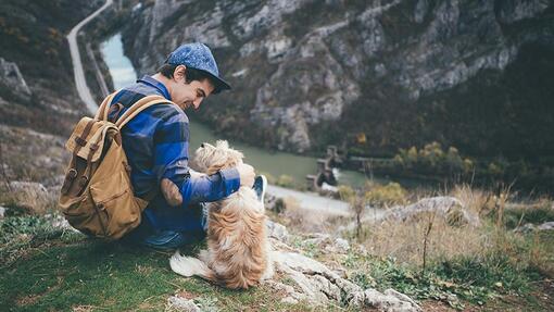 Mann und Hund beim Wandern