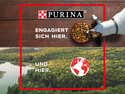 Purina engagiert sich über den Rand des Futternapfes hinaus