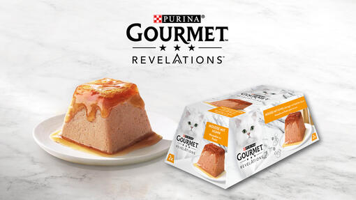 GOURMET Revelations Mobile Image