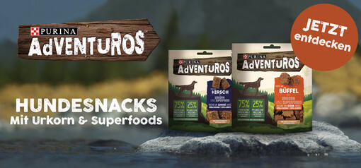 Adventuros Hundesnacks mit Urkorn & Superfoods