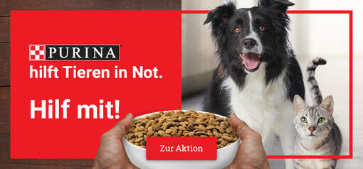 #PURINA hilft Teaser Desktop