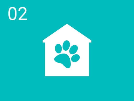 Infografik Haustier-Fußabdruck und Haus