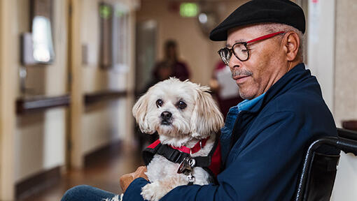 Alter Mann mit Hund