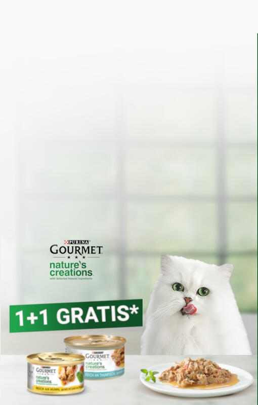Gourmet Nature Creations Cashback