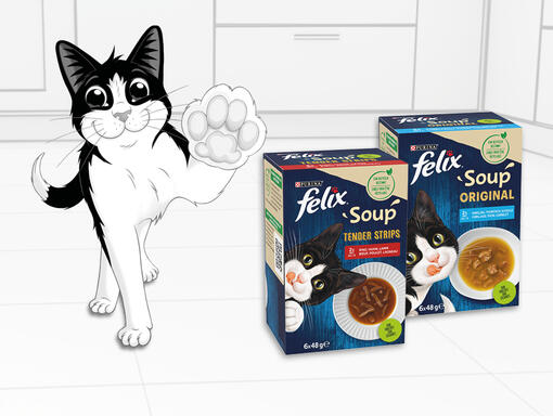 Felix Soups