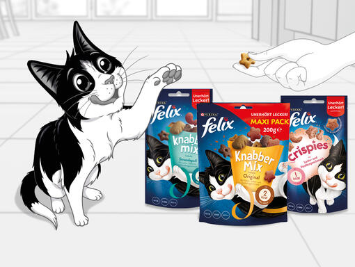 Felix Snacks