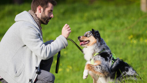 Besitzer mit Hund