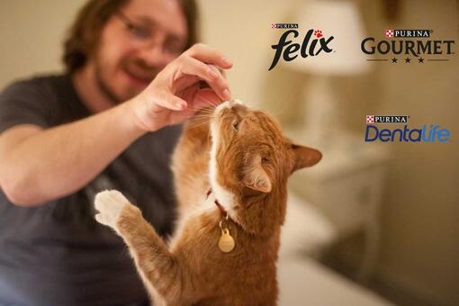Cat Snacks