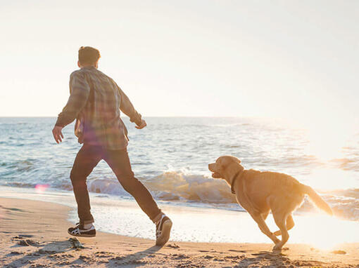 Ein Mann rennt mit einem Hund am Strand entlang