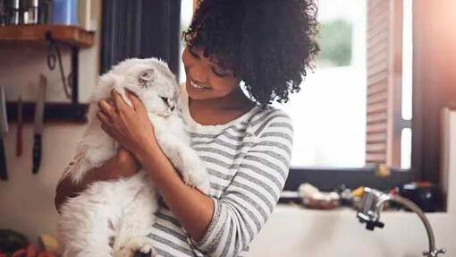 Können Katzen lachen und lächeln?