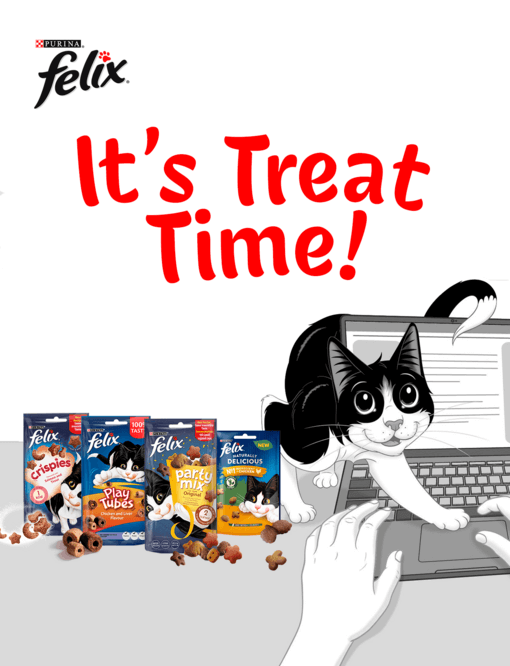FELIX hat die Pfote auf dem Laptop und schaut seinen Besitzer fragend neben den FELIX Party Mix Snackpackungen an.
