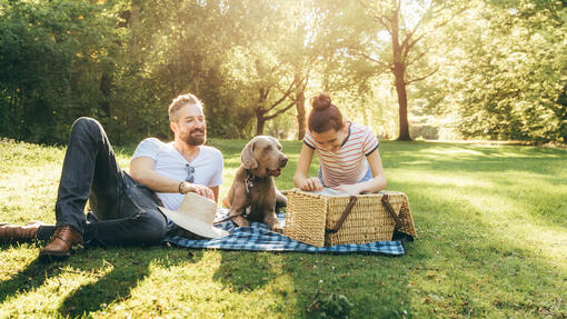 Familie im Park