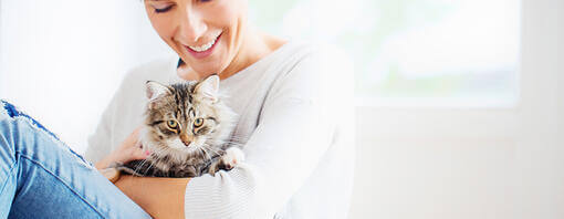 Frau hält Katze