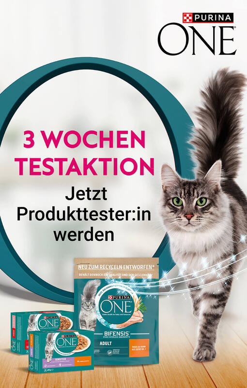 3 Wochen Testaktion