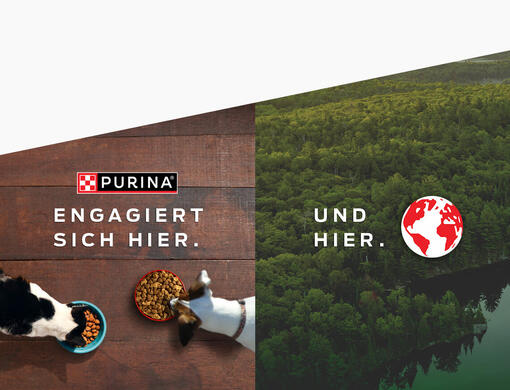 PURINA engagiert sich hier. Und hier.