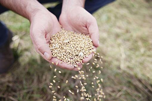 Regenerative Landwirtschaft