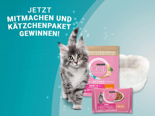 PURINA Kätzchen Jackpot